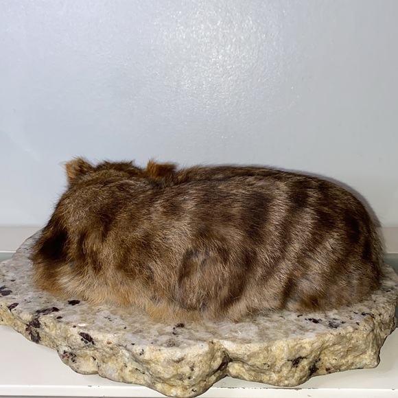 Vintage Beautiful Real Rabbit Fur Soft Realistic Sleeping Cat- - Picture 6 of 10